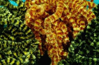 Cascade Crest Chenille (Med Size 2)
